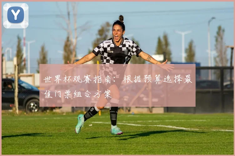 世界杯观赛指南：根据预算选择最佳门票组合方案
