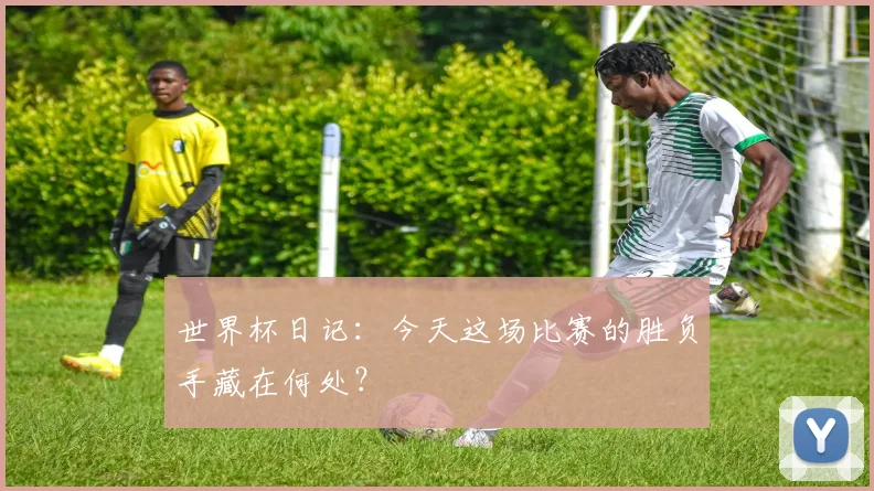 世界杯日记：今天这场比赛的胜负手藏在何处？