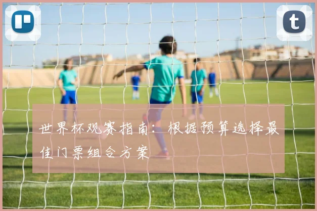 世界杯观赛指南：根据预算选择最佳门票组合方案