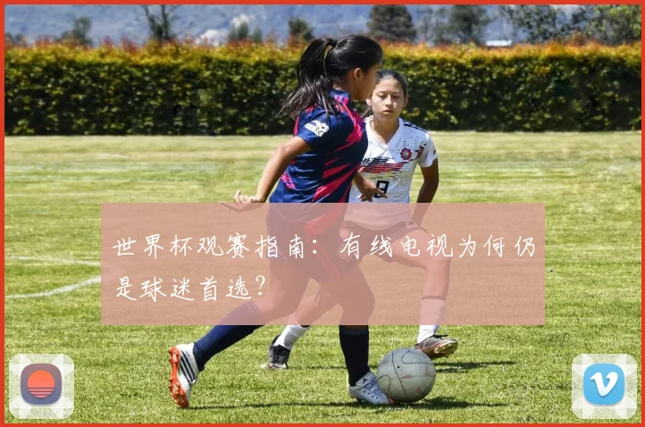 世界杯观赛指南:有线电视为何仍是球迷首选?